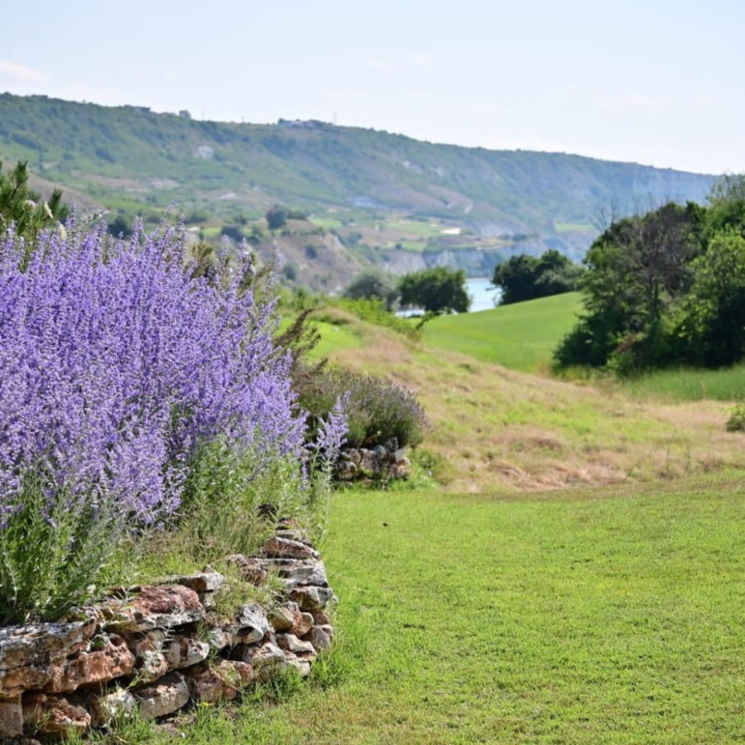 fe8c68735f506069692b04ab37bc2e7529ee5e1f (1)